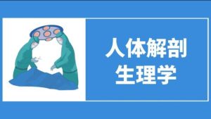 国开题库《人体解剖生理学》专科形考任务1-国开题库网