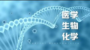 国开纸考题库+精准过关资料《医学生物化学》2026.1.17-18-国开题库网
