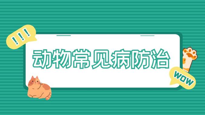 国开纸考题库+精准过关资料《动物常见病防治》2026.1.17-18-国开题库网