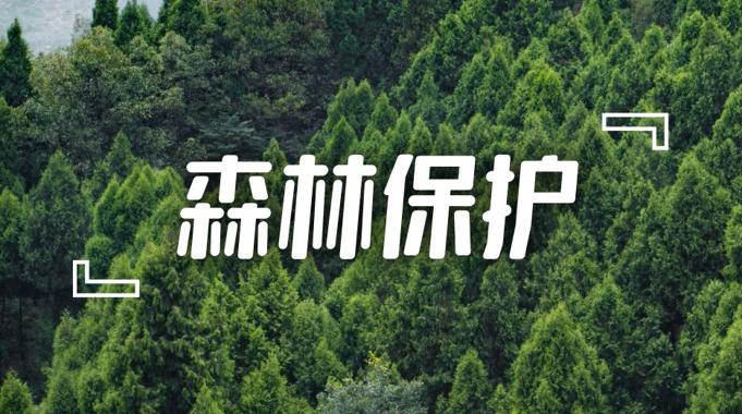 国开纸考精准过关资料《森林保护》2026.1.17-18-国开题库网
