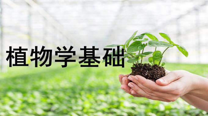 国开机考题库+精准套题《植物学基础》课程号：02014 试卷号：42704-国开题库网