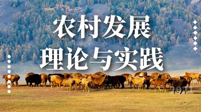 国开网课《农村发展理论与实践》形考作业4-国开题库网